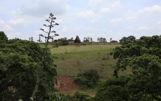 Luxury Forest Cabins in Mexico Magic Village