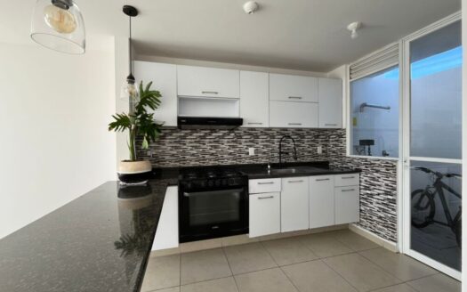 Casa Lirio 4 Rec + Roof / Zakia