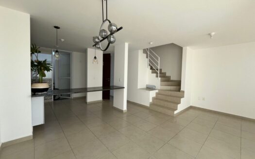 Casa Lirio 4 Rec + Roof / Zakia