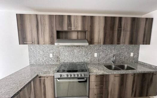 <font dir="auto" style="vertical-align: inherit;"><font dir="auto" style="vertical-align: inherit;">Jardín en la azotea de Casa Ga</font></font>rdenia – Zakia